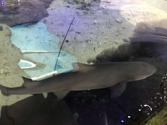 -鸿通城购物中心