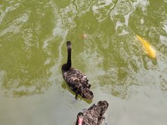 -石家庄市动物园