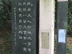 -高子水居