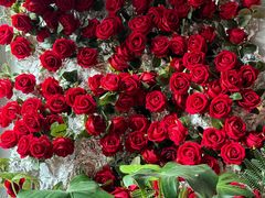 -Primo·丽莫意大利窑烤披萨