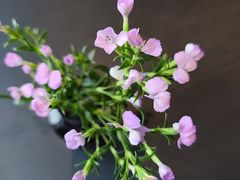 -江南雅厨·江南文化·苏州菜(李公堤店)