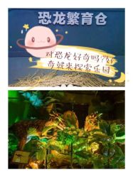 -恐龙探索乐园(磁器口店)