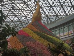 -花之城