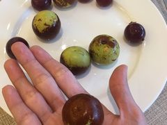 -东方红海鲜百汇(国际大厦店)