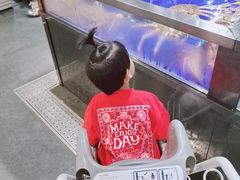 -盒马鲜生(新都心店)