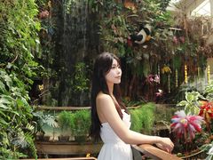 -正佳雨林生态植物园