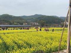 -红山村