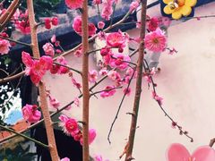 -巡塘古镇