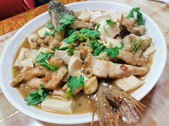 -煲来饱去冷水鱼