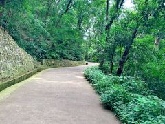 -紫金山山顶公园