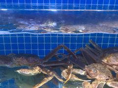 -前王院•巧克力海鲜市集餐厅(万平口店)