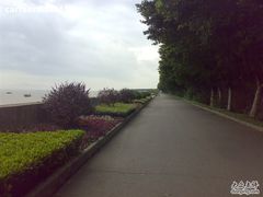 -大湾区中央湿地公园