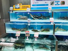 水产区-盒马鲜生(财富中心店)