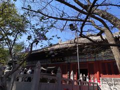 -红螺寺