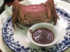 android_upload_pic-扬州狮子楼·非遗淮扬菜(总店)