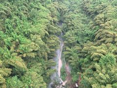 -川西竹海景区