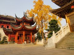 -上海东林寺(金山区)