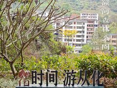 -广州市流溪河国家森林公园