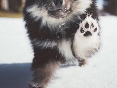 -吃饼人西餐(南开店)