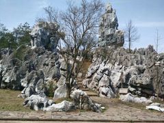 -千岛湖石林