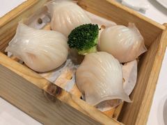 维景虾饺皇-南宁荔园维景国际大酒店·荔园中餐厅