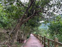 -四会奇石河风景区