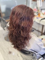 -镁连社·美联社