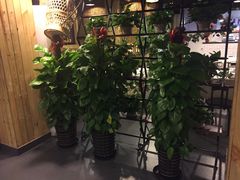 -龙之梦万丽酒店青餐厅