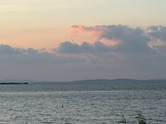 -西京湾花海