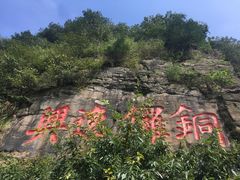 -铁山坪森林公园