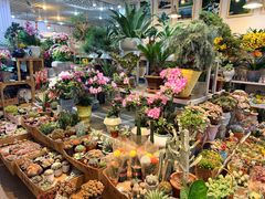 -双季花艺园艺市场(浦东店)