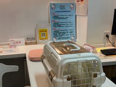 -御宝贝·A梦猫科宠物医院(国际猫友好医院)