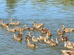 -野鸭湖国家湿地公园