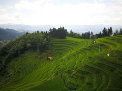 -紫鹊界梯田景区