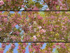 -汉长安城未央宫国家考古遗址公园