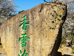 -香雪海