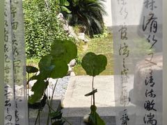 -八大山人梅湖景区