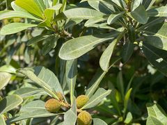 -宝岩生态观光园