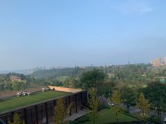 -成都蒲江花样年福朋喜来登度假酒店·宜客乐西餐厅