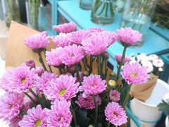 -BoBloom花店(晶耀前滩店)