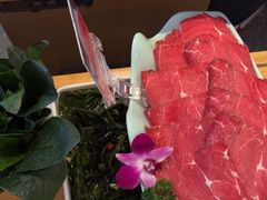 -大熊猫毛肚火锅(烟台万象汇店)