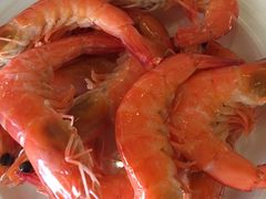 -科尔海悦酒店·柏顿花园餐厅(清河东路店)