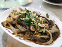 姜葱凉拌鱼皮-禄源公·老莞诚饭店