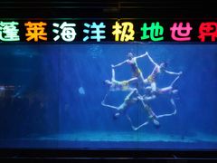 -蓬莱欧乐堡海洋极地世界