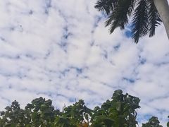 -三亚太阳湾柏悦酒店