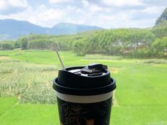 -茶理宜世(广州南站（站内）3楼B17检票口店)