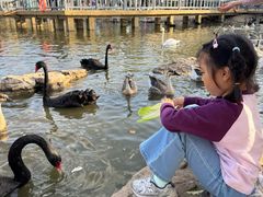 -鄂尔多斯野生动物园