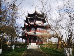 -上海海湾国家森林公园