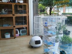 -狗不理喵子(百富路店)