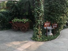 -南宫温泉水世界